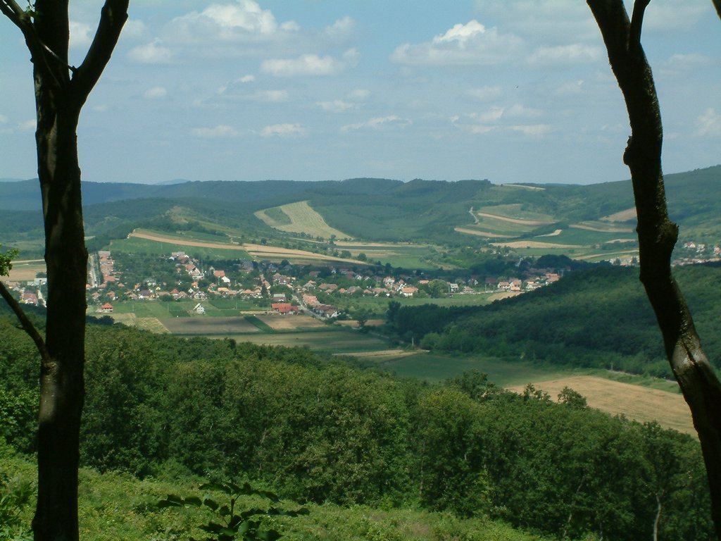 DSCF0052.JPG