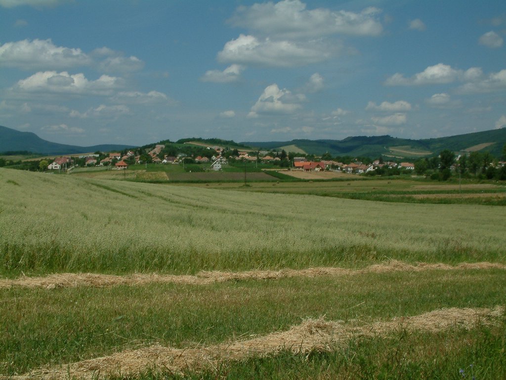 DSCF0053.JPG