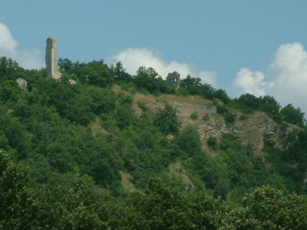 DSCF0061.JPG