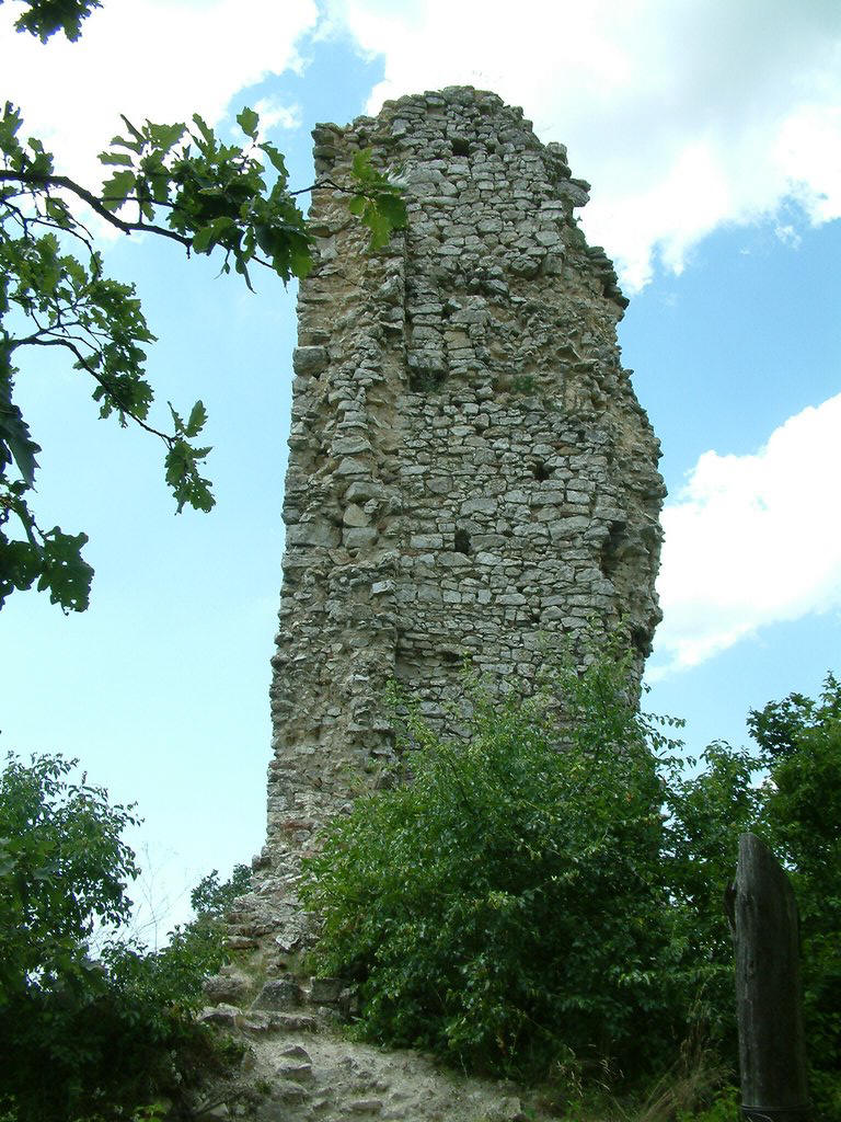 DSCF0065.JPG