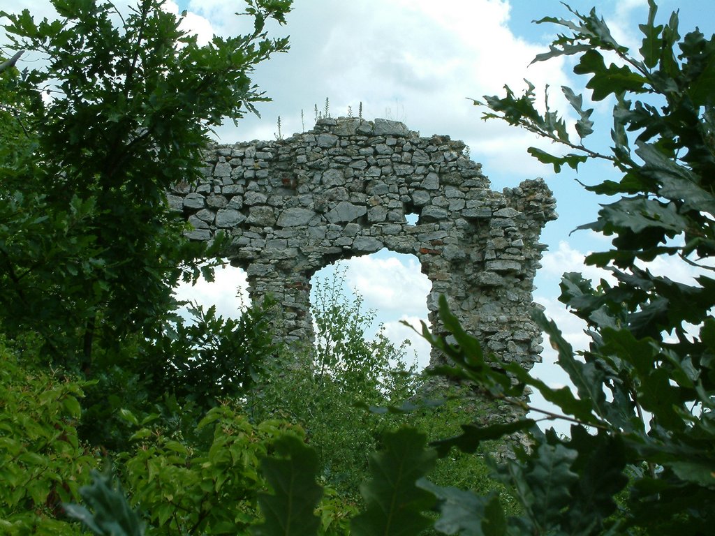 DSCF0067.JPG