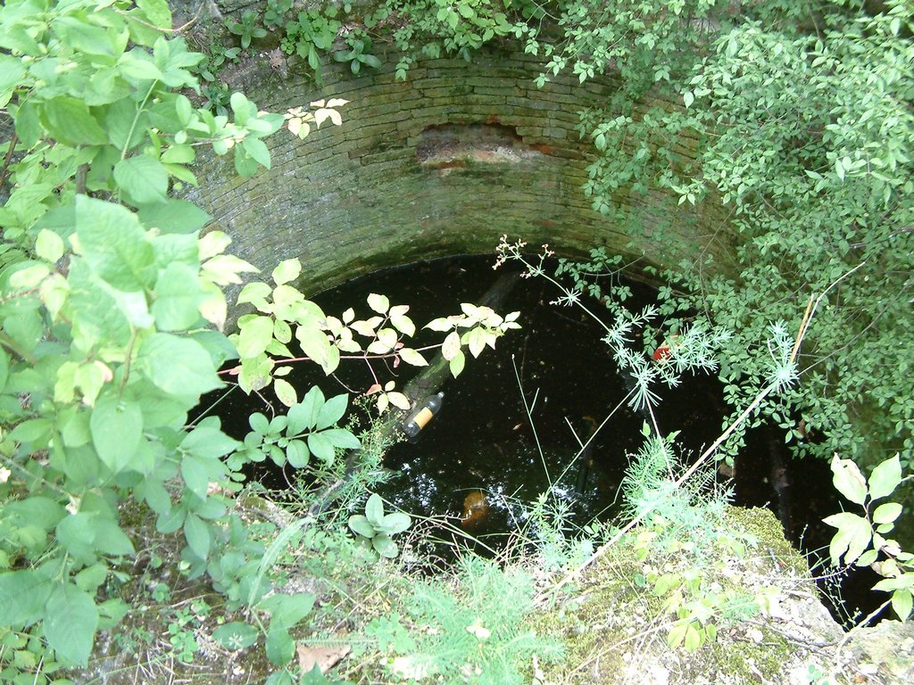 DSCF0069.JPG