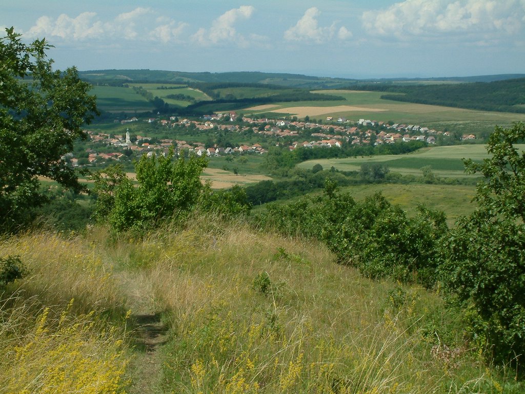 DSCF0070.JPG