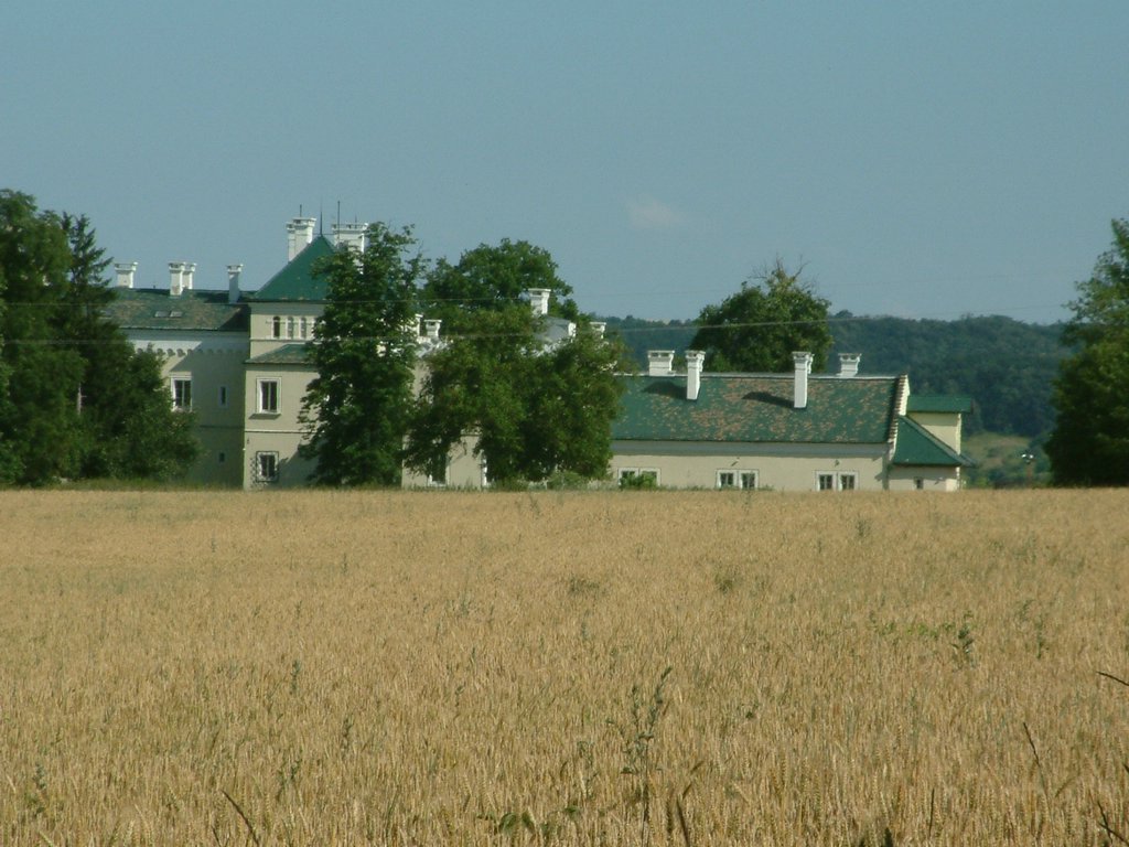 DSCF0079.JPG