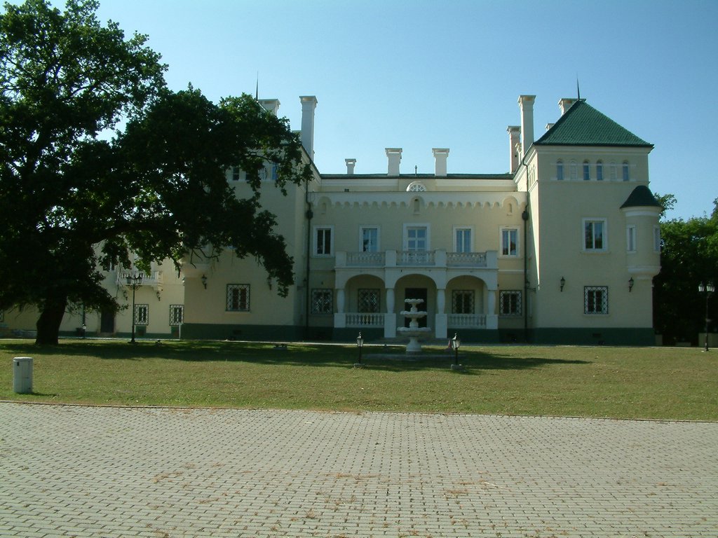 DSCF0082.JPG