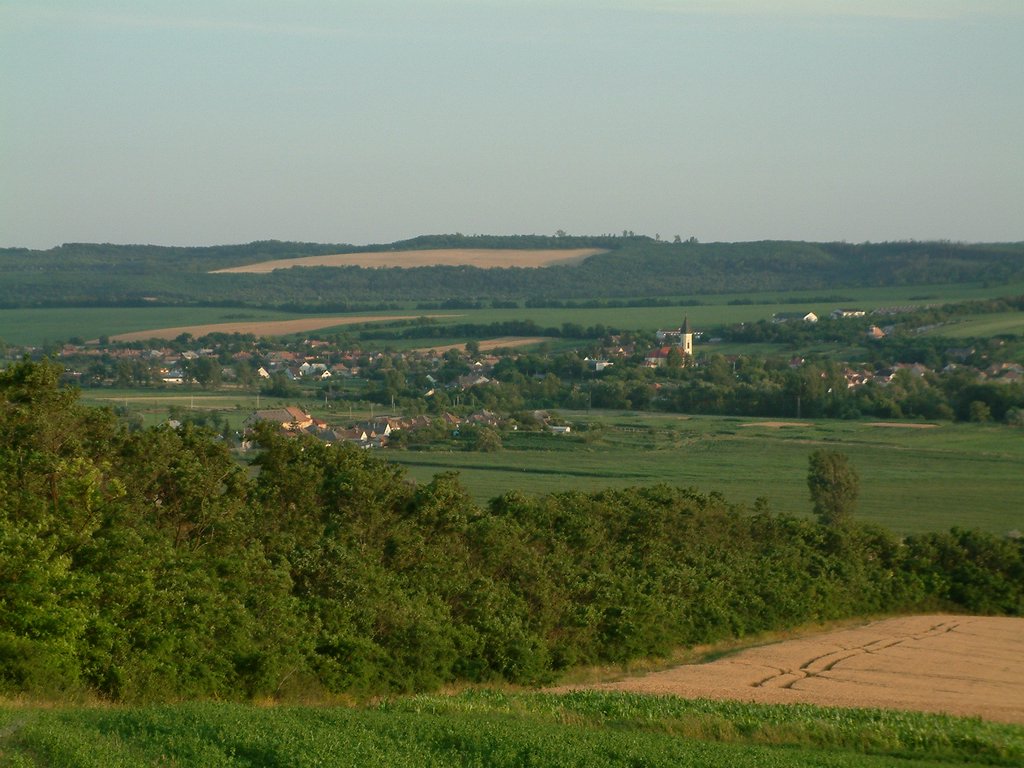 DSCF0088.JPG