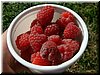 DSCF0075.JPG