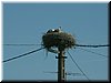 DSCF0084.JPG