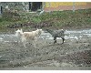 n_dscf0030.jpg