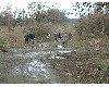 n_dscf0034.jpg