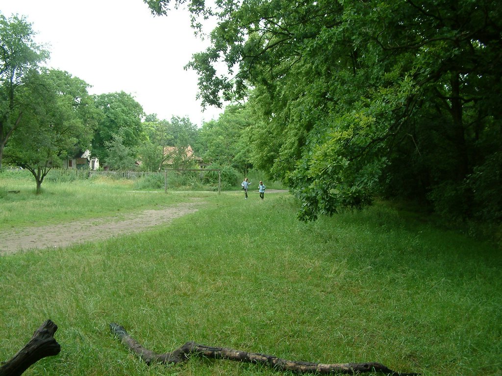 DSCF0004.JPG