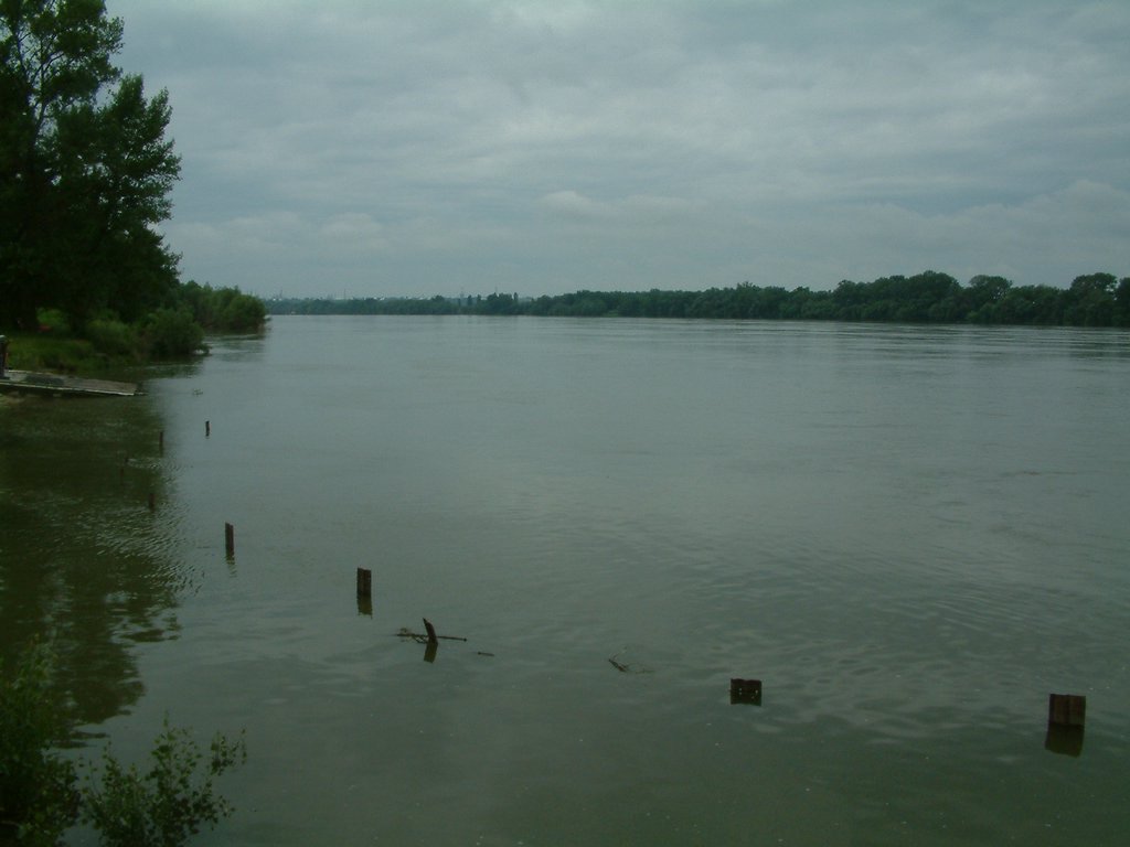 DSCF0006.JPG