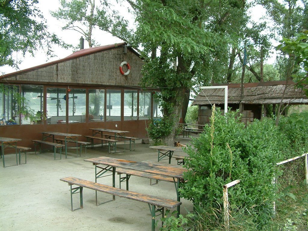 DSCF0007.JPG