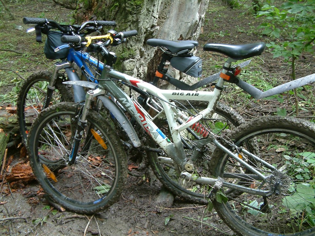 DSCF0010.JPG