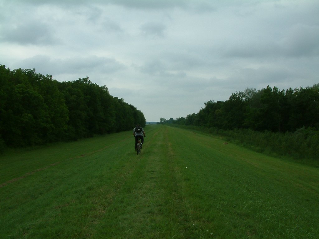DSCF0015.JPG