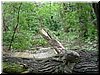 DSCF0009.JPG
