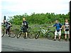 DSCF0011.JPG