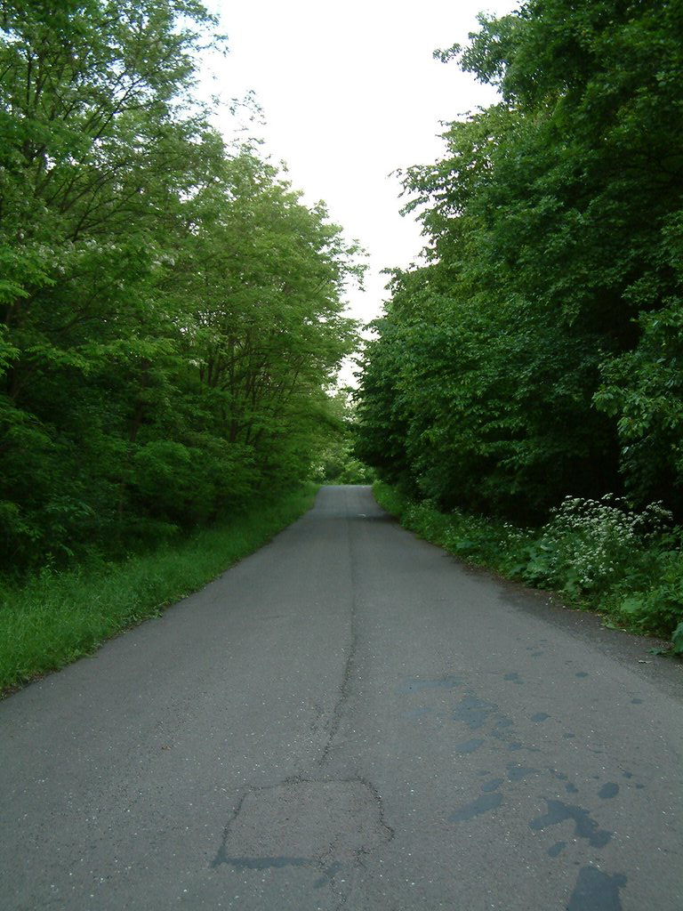 DSCF0005.JPG
