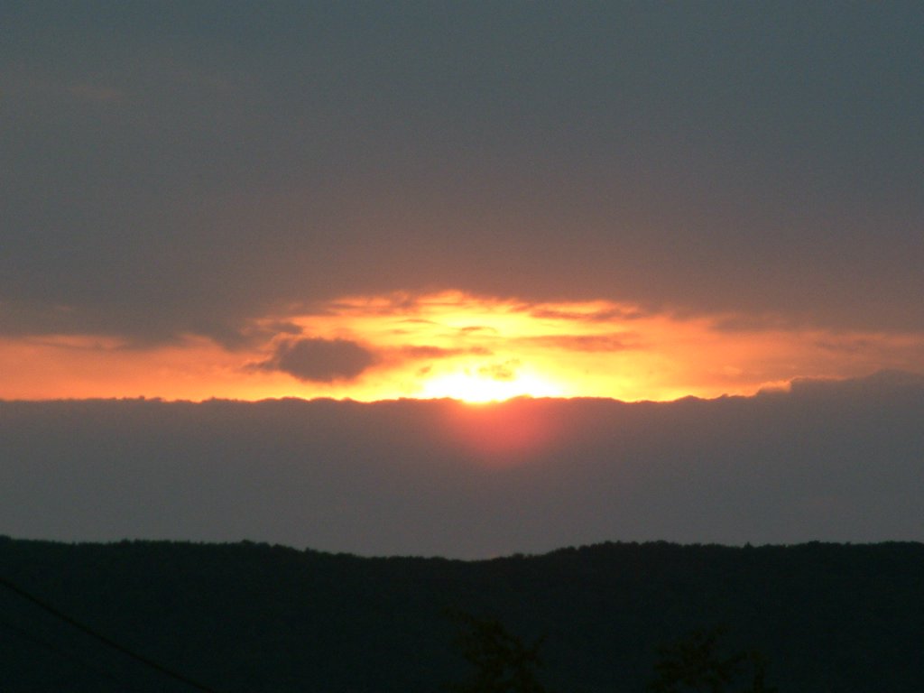DSCF0010.JPG