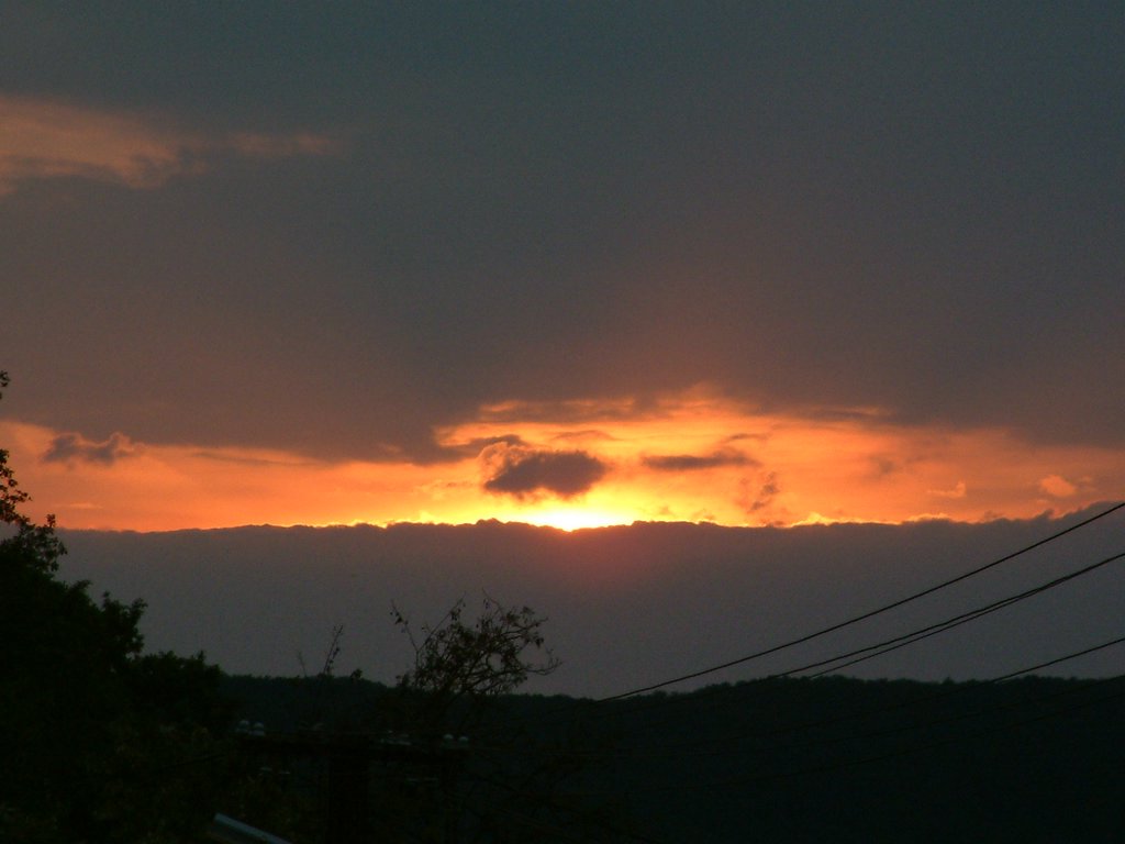 DSCF0011.JPG