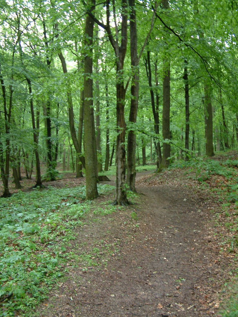 DSCF0019.JPG