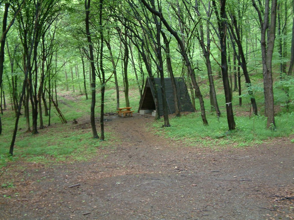 DSCF0024.JPG