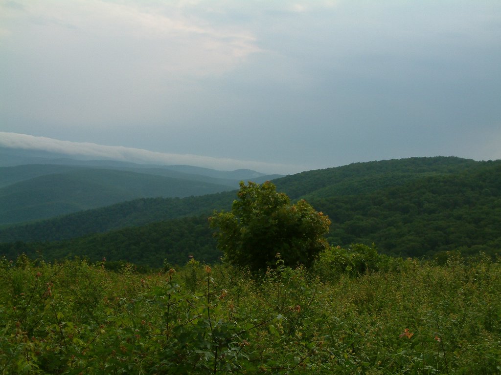 DSCF0027.JPG