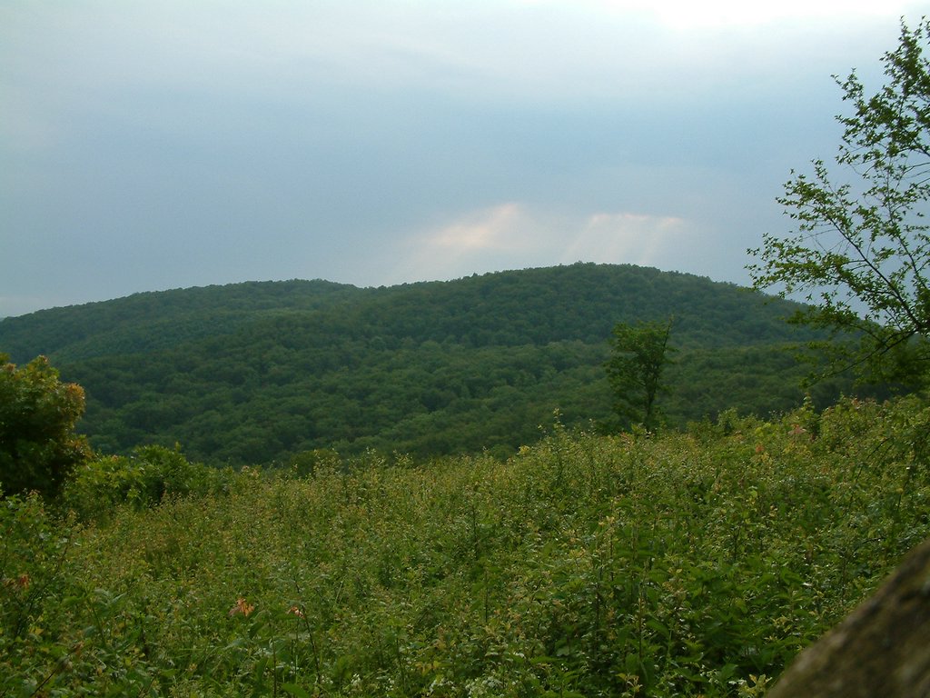 DSCF0028.JPG