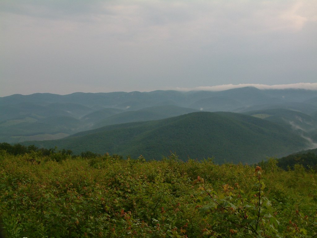 DSCF0029.JPG