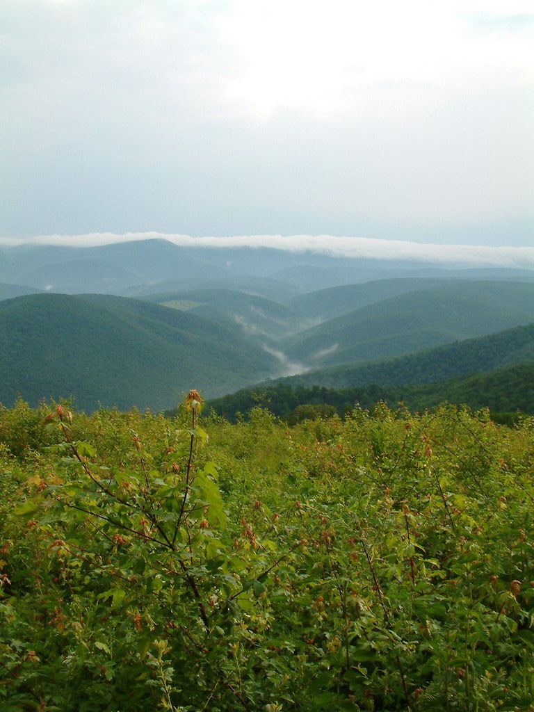 DSCF0031.JPG