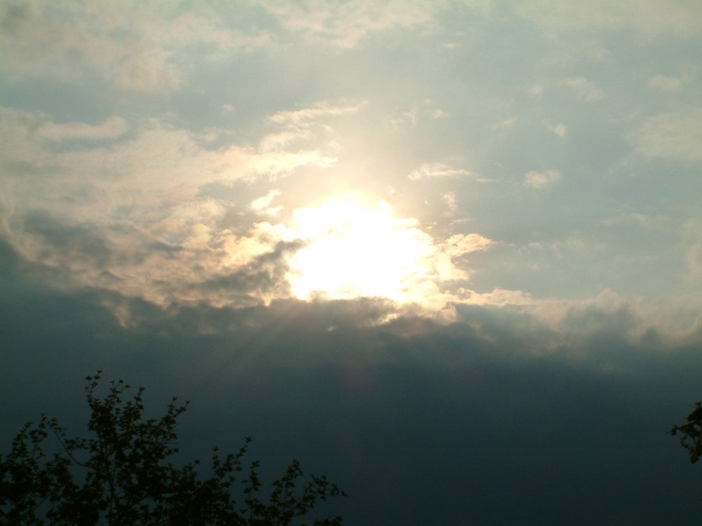 DSCF0034.JPG