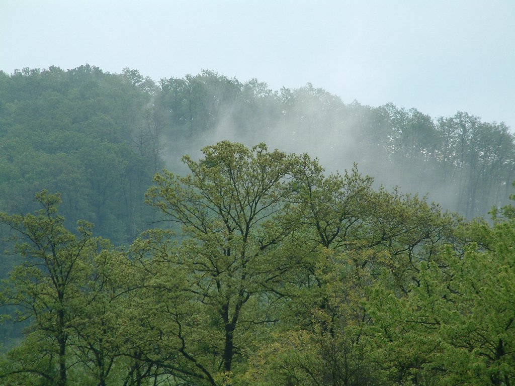 DSCF0036.JPG