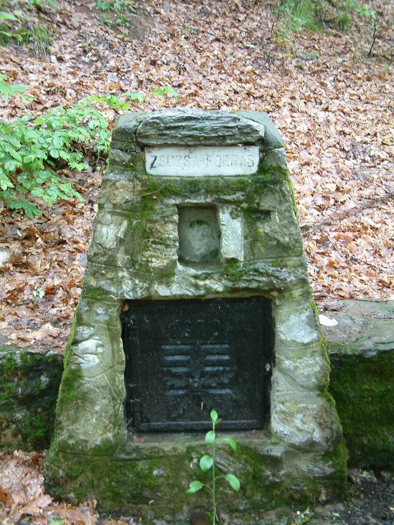 DSCF0040.JPG