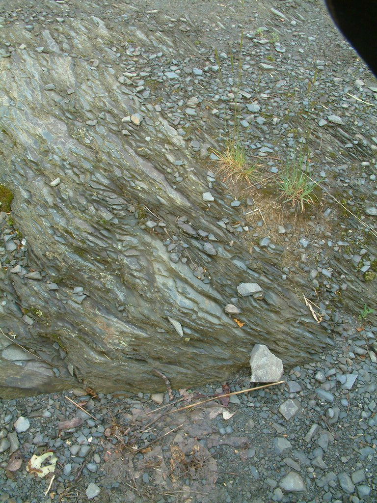DSCF0050.JPG