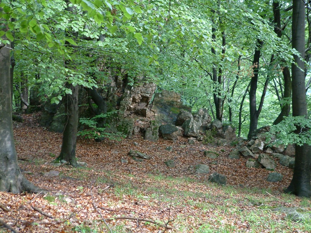 DSCF0052.JPG