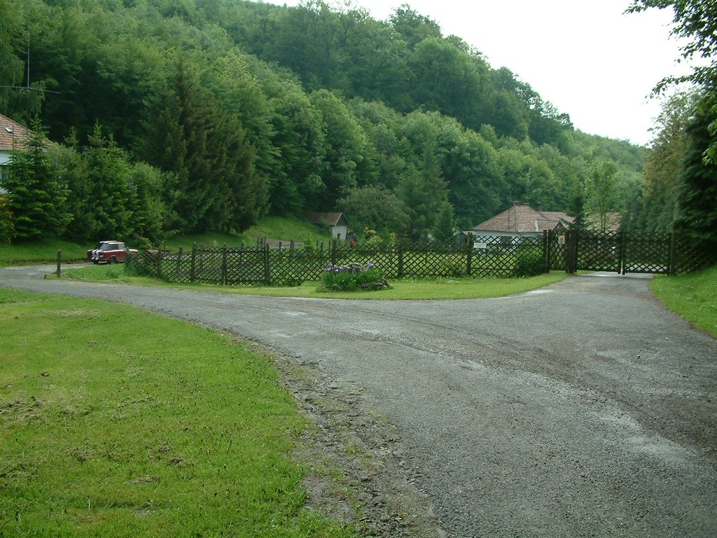 DSCF0055.JPG