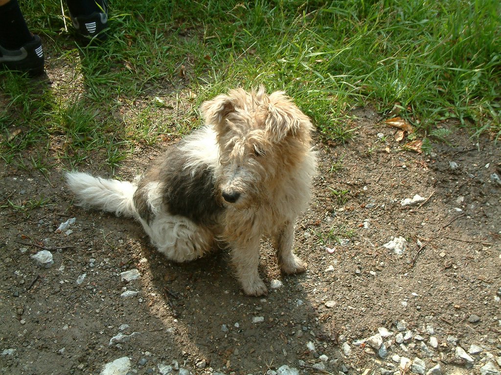 DSCF0057.JPG