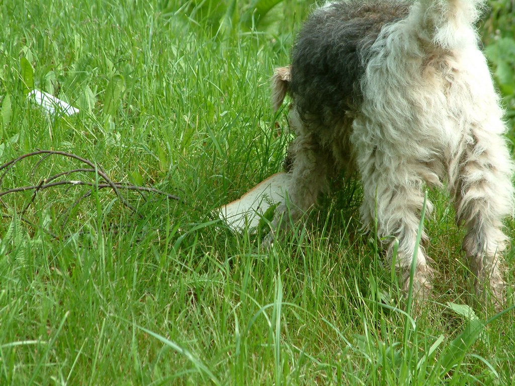 DSCF0060.JPG
