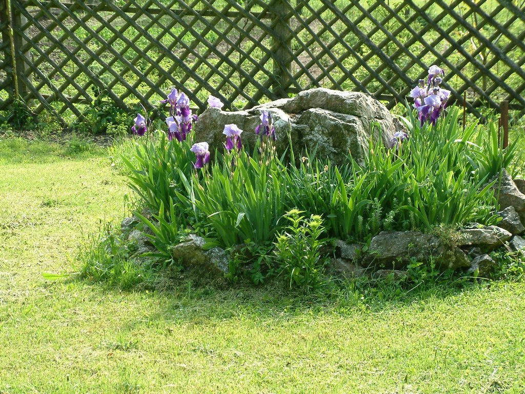 DSCF0062.JPG