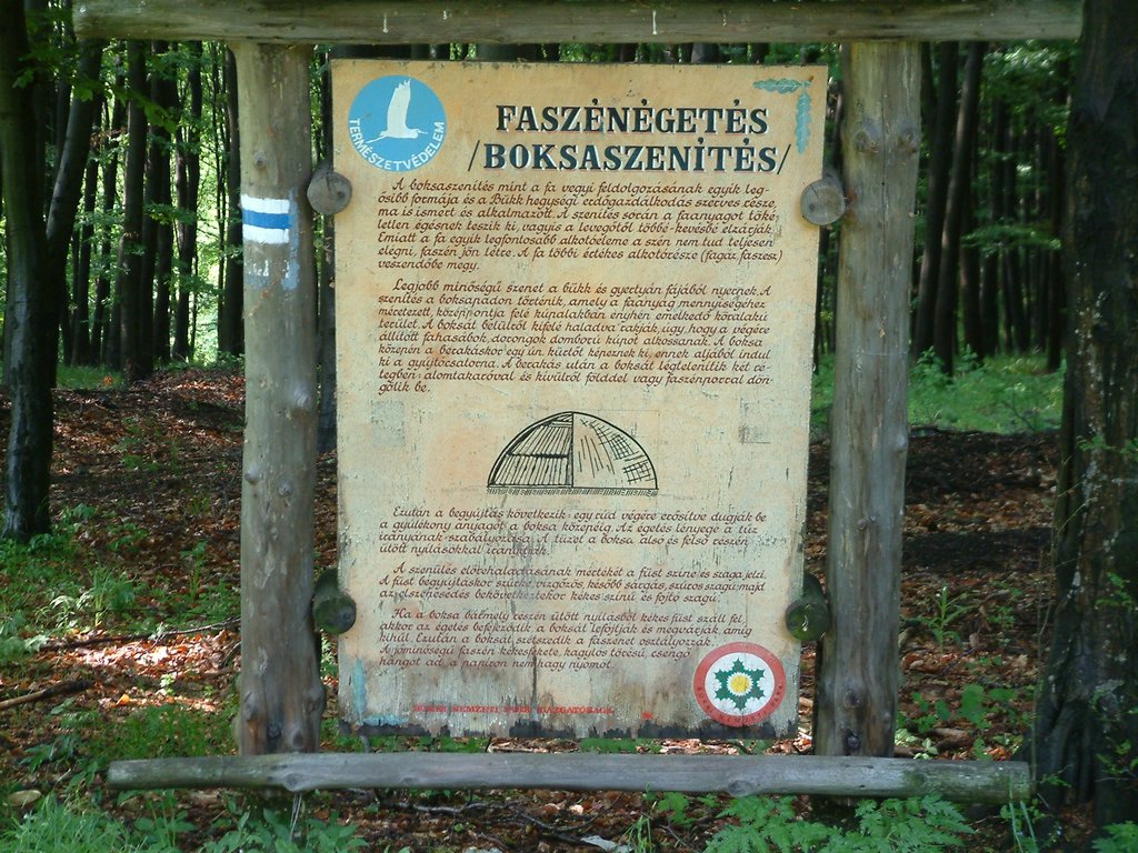 DSCF0065.JPG