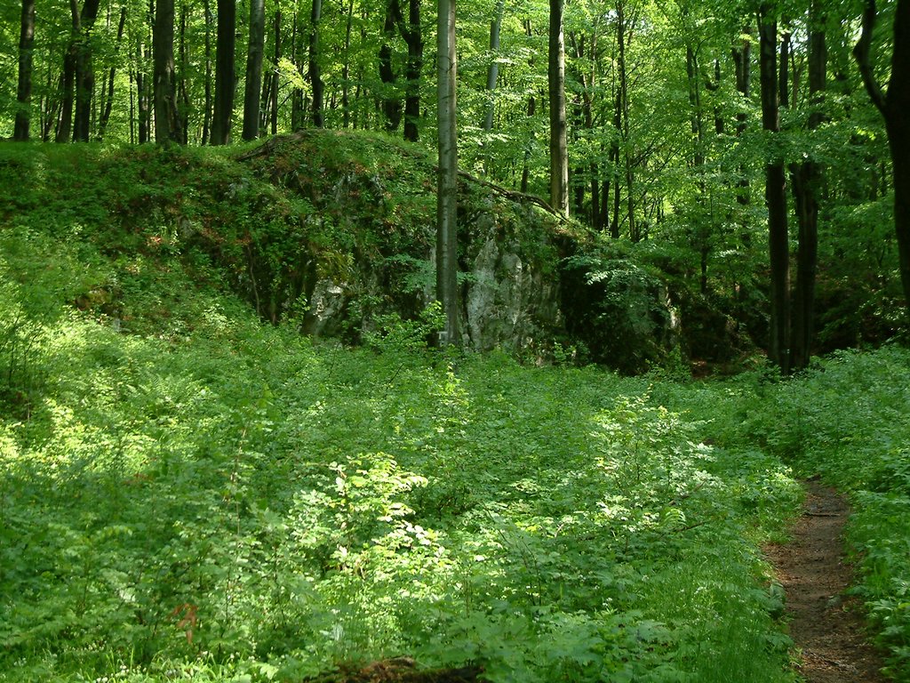 DSCF0070.JPG