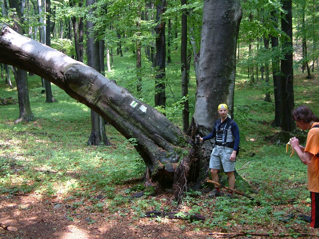 DSCF0075.JPG