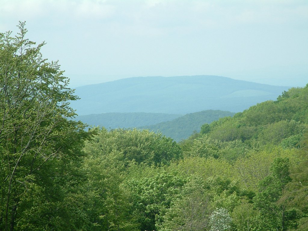 DSCF0077.JPG