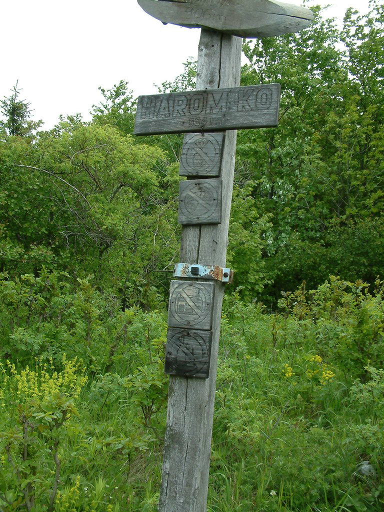 DSCF0098.JPG