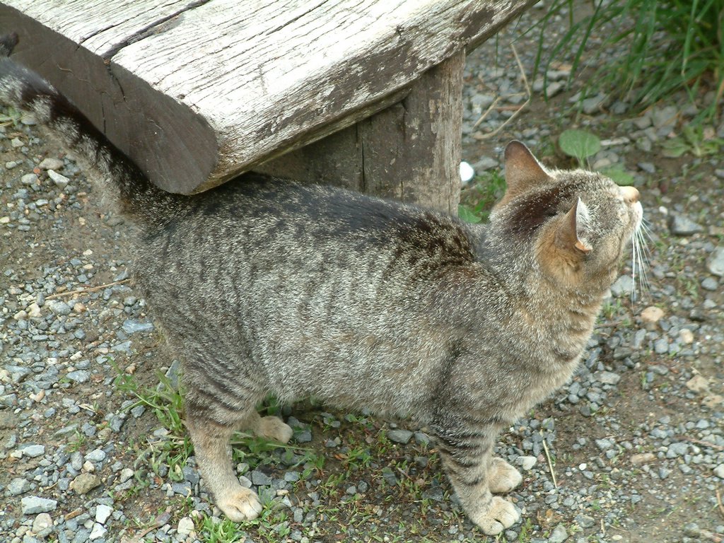 DSCF0106.JPG