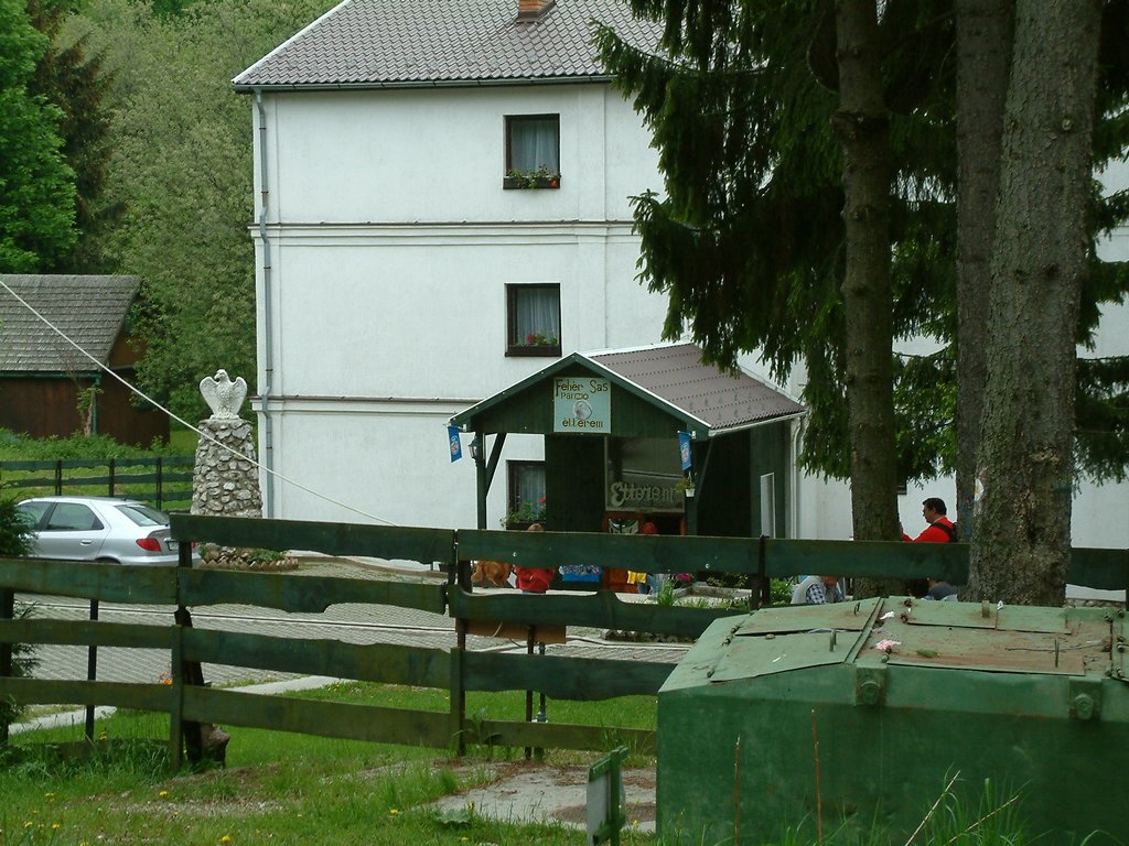 DSCF0110.JPG