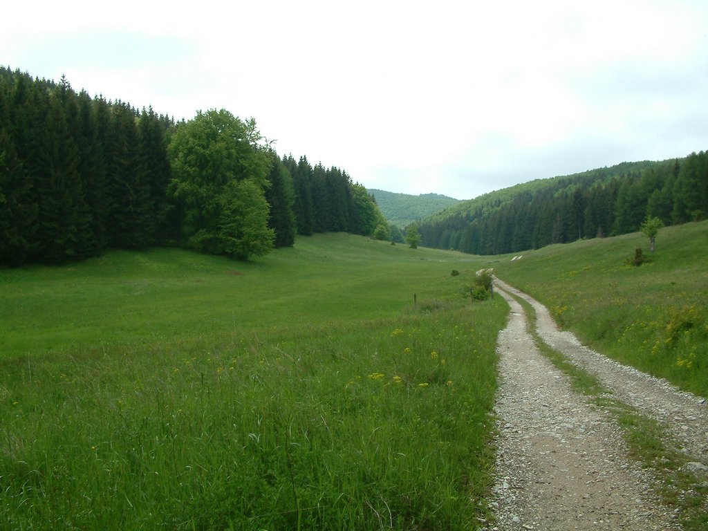 DSCF0114.JPG