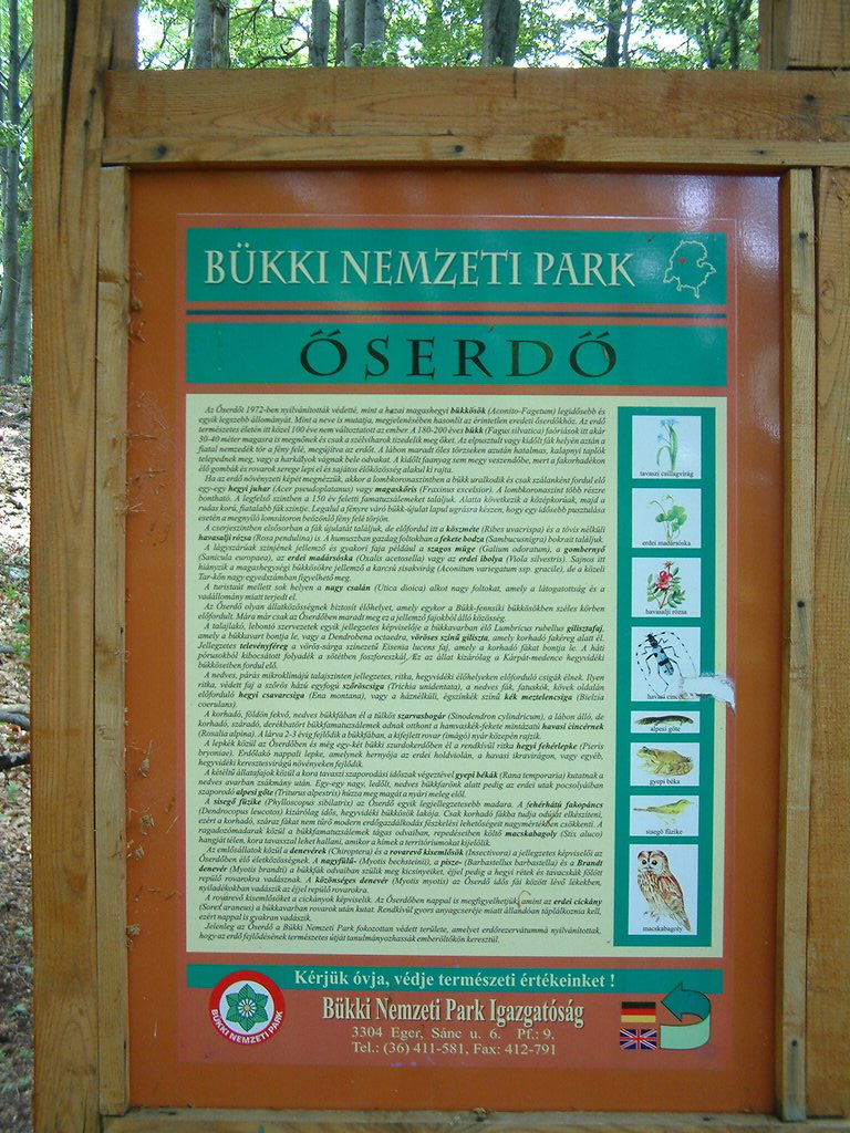 DSCF0125.JPG
