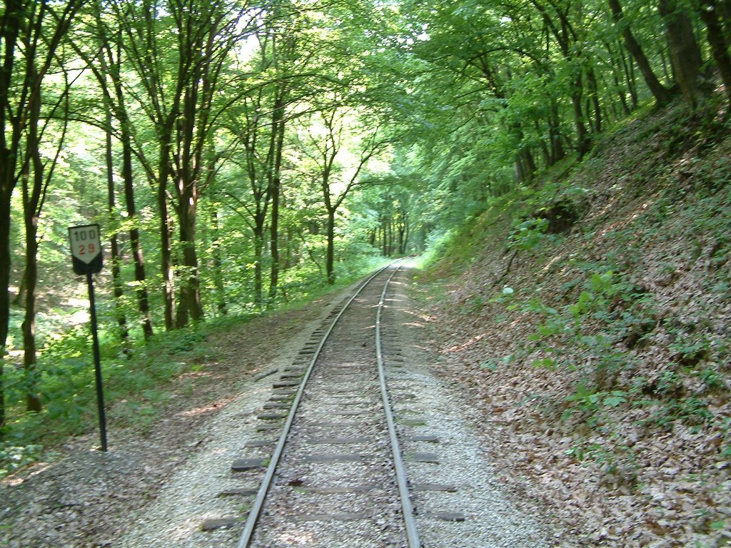 DSCF0127.JPG