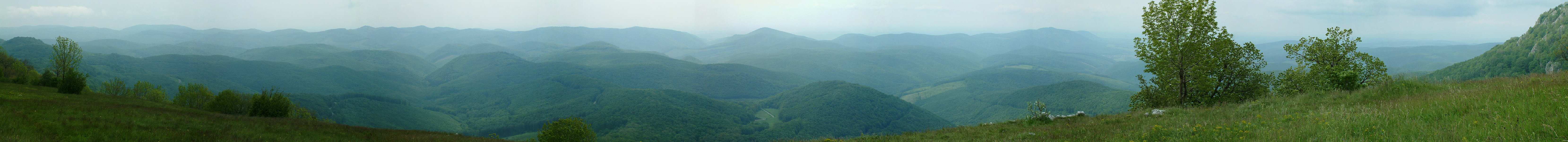 panorama.jpg